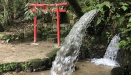 BD331036-76FA-4F26-8544-F31D5079DE6A