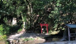 83563912_2423962141048545_8911245514935107584_n