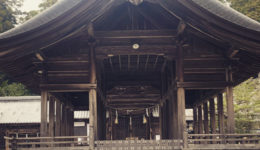 DEC38805-DA40-4C6A-82C0-A7E81A8C416F