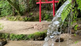 205729629_3757375031040576_1243471635715136051_n